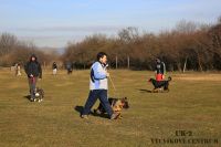 IMG_7586