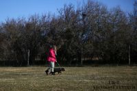 IMG_7900