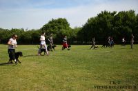 IMG_9117