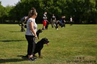 IMG_9119