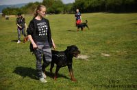 IMG_9132