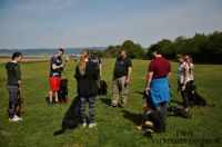 IMG_9142