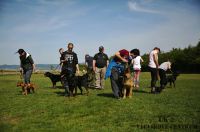 IMG_9145
