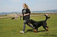IMG_9164