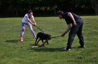 IMG_9232