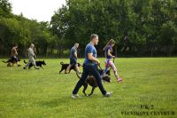 IMG_9352