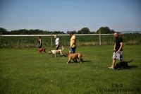 IMG_9591