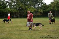 IMG_9781