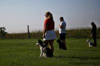 IMG_2651