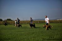 IMG_2669