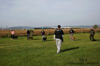 IMG_2761