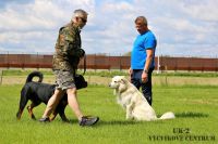 IMG_5260