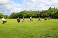 IMG_5323