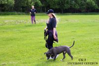 IMG_5108
