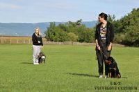 IMG_0919