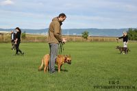 IMG_0921