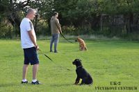 IMG_0933