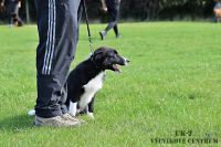 IMG_0949