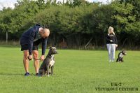 IMG_0951