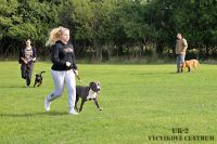 IMG_0954