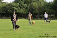 IMG_0958
