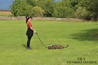 IMG_0978