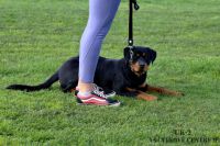 IMG_4225