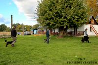IMG_4671