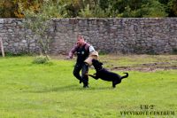IMG_4709