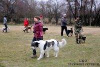 IMG_7461