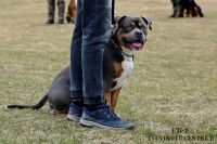 IMG_7467