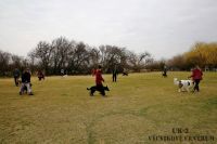 IMG_7492