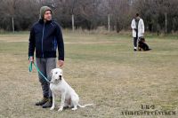 IMG_7524