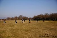 IMG_8895
