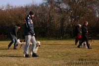 IMG_8901