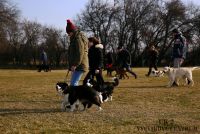 IMG_8909