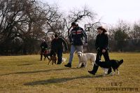 IMG_8918