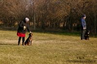 IMG_8934