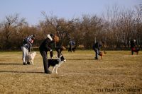 IMG_8955