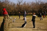 IMG_8966