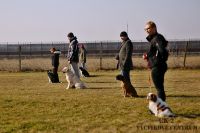 IMG_8970