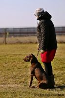 IMG_8973