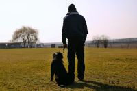 IMG_8974