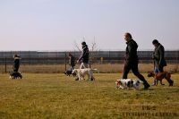 IMG_8982