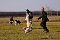 IMG_8986
