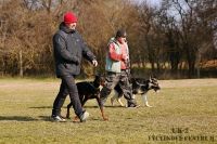 IMG_9000