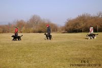 IMG_9009