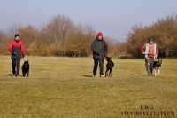 IMG_9011