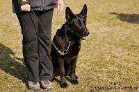 IMG_9026