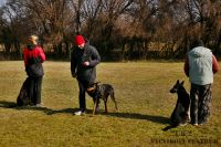 IMG_9046